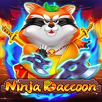 Ninja Raccoon